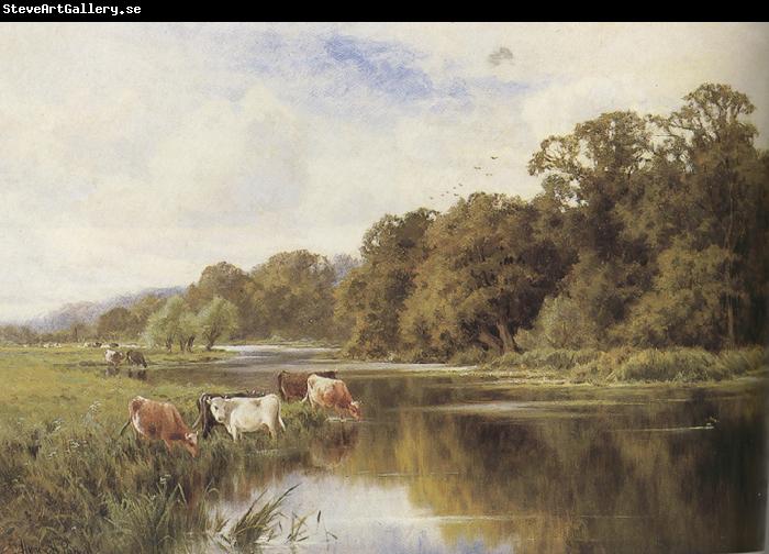 Henry h.parker Cattle watering on a Riverbank (mk37)